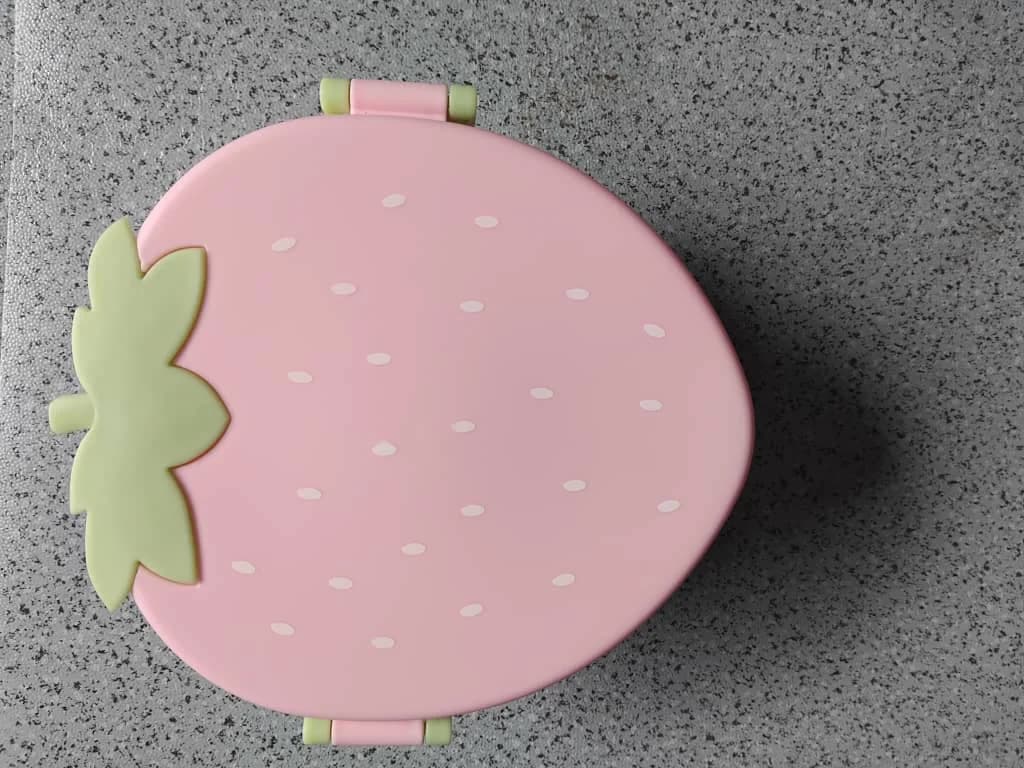 ANKO STRAWBERRY LUNCH BOX